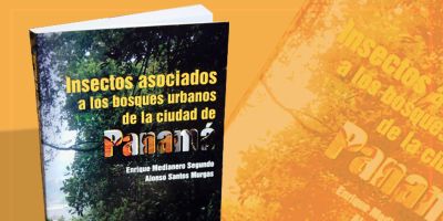 Investigadores publican el primer ‘inventario’ de insectos de los bosques urbanos de la ciudad de Panamá