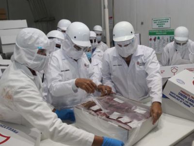 China habilita plantas procesadoras panameñas